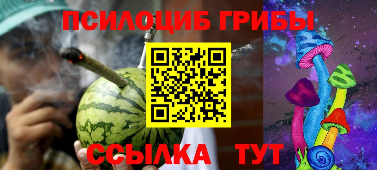 Асино  Псилоцибиновые грибы мицелий  Галлюциногенные грибы ЛСД  Вход с VPN 