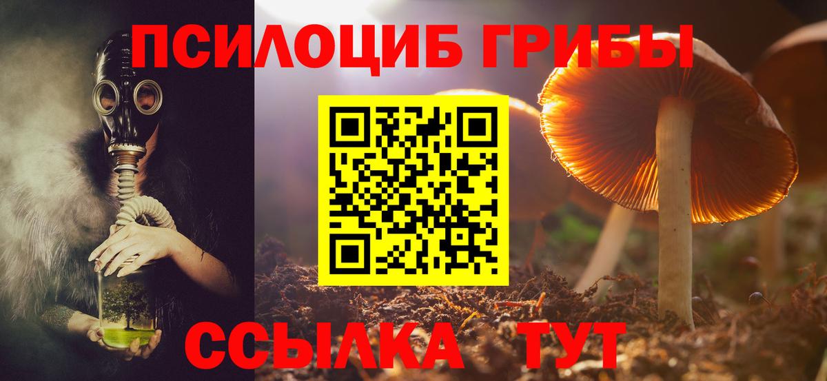 Псилоцибиновые грибы GOLDEN TEACHER Асино